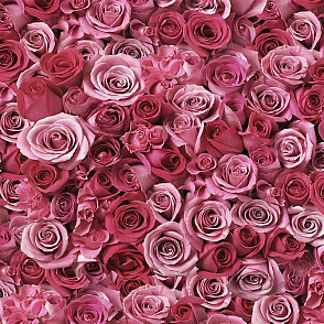 Фотозона из цветов «Розовые розы»