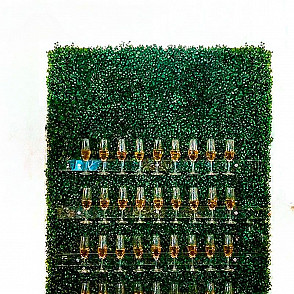 Фотозона «Стена шампанского»