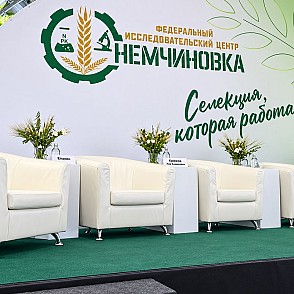 Кресло белое