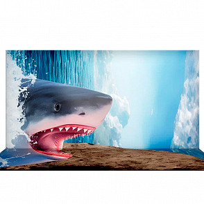Фотозона оптические иллюзии «Акула»