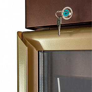 Холодильный шкаф Полюс Carboma R560Cв
